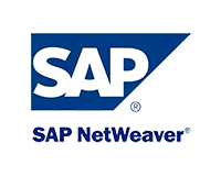 SAP网织标识