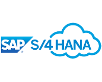 SAP S/4HANA云标识